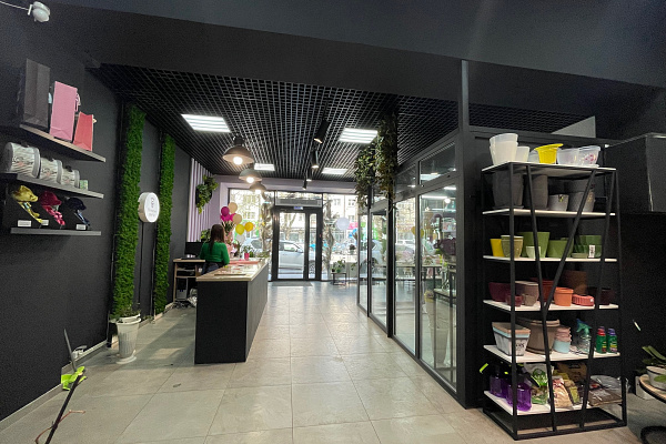 Реновация торговой галереи в формате Street retail